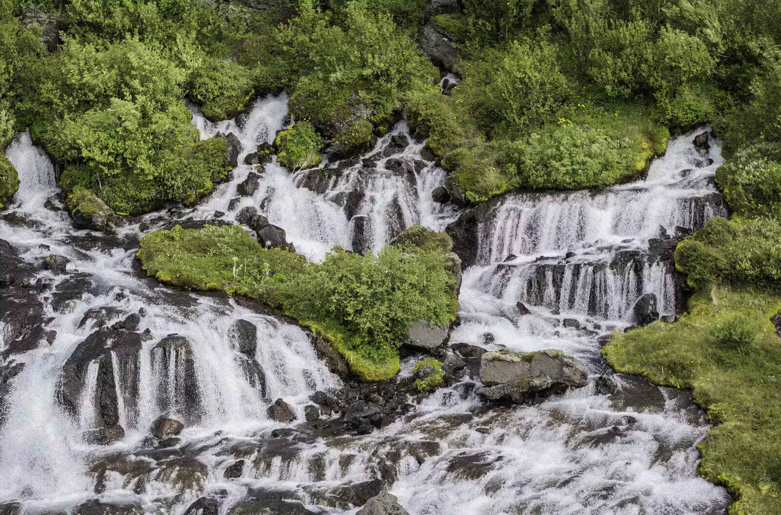 26-facts-about-icelandic-nature