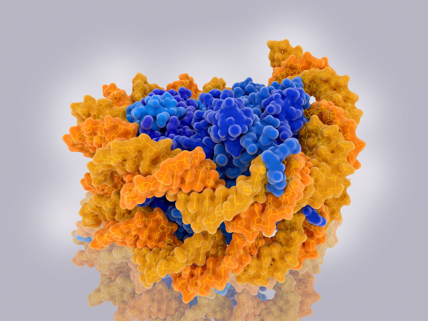 27-facts-about-histone-modification