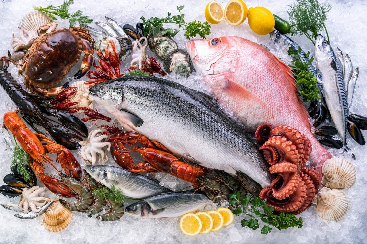 29-facts-about-fresh-fish