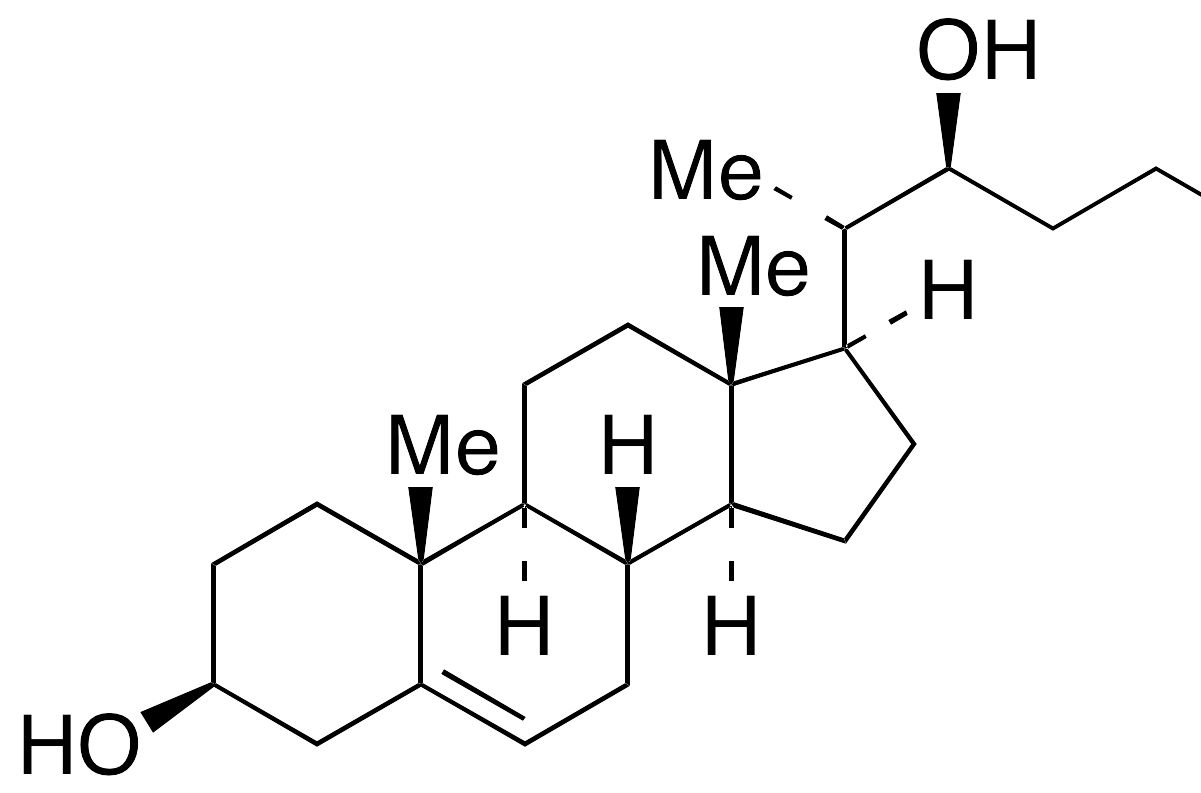 30-facts-about-20s-hydroxycholesterol