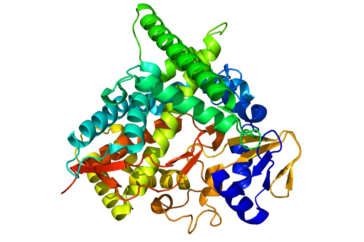 30-facts-about-24s-hydroxycholesterol