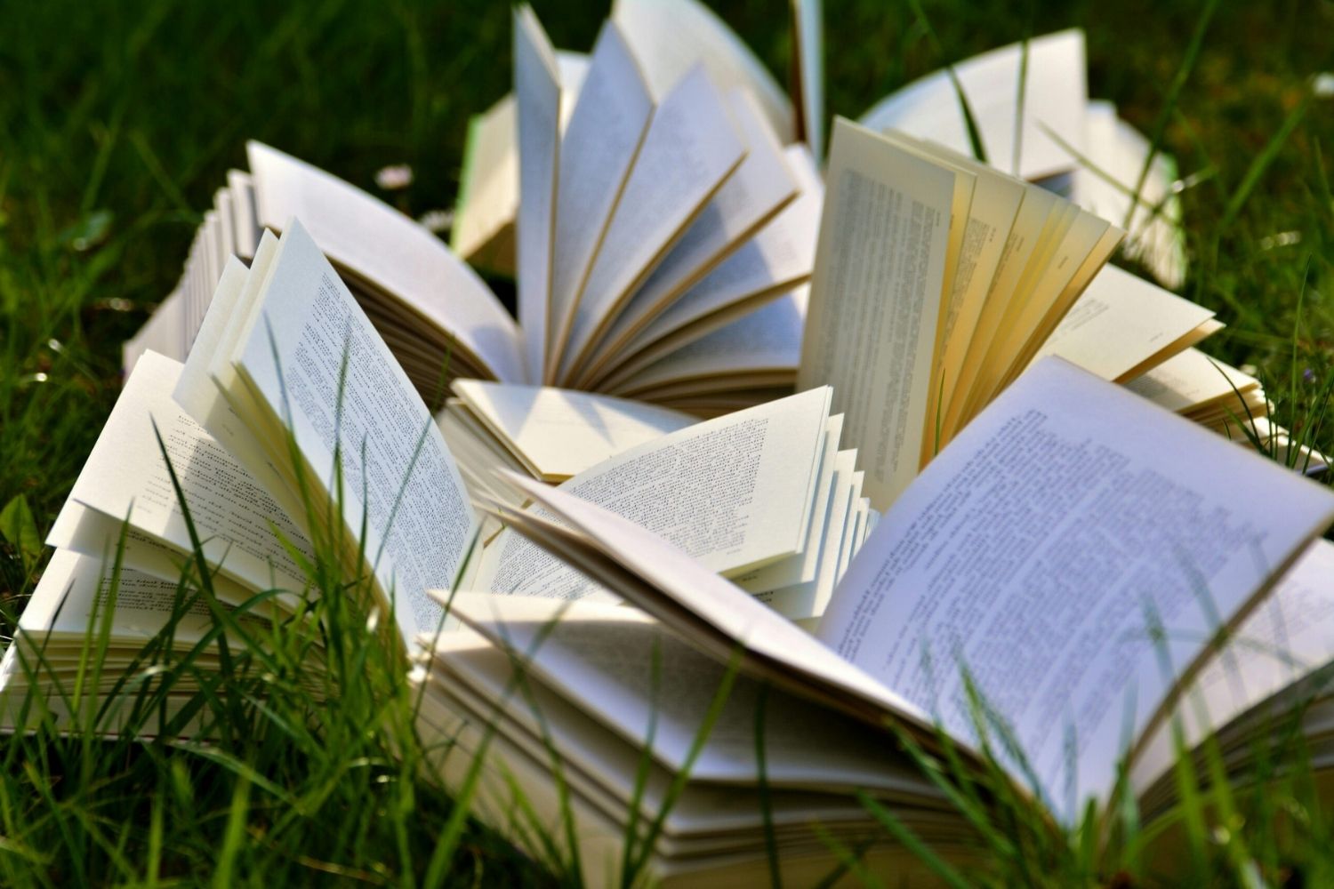 30-facts-about-environmental-literature