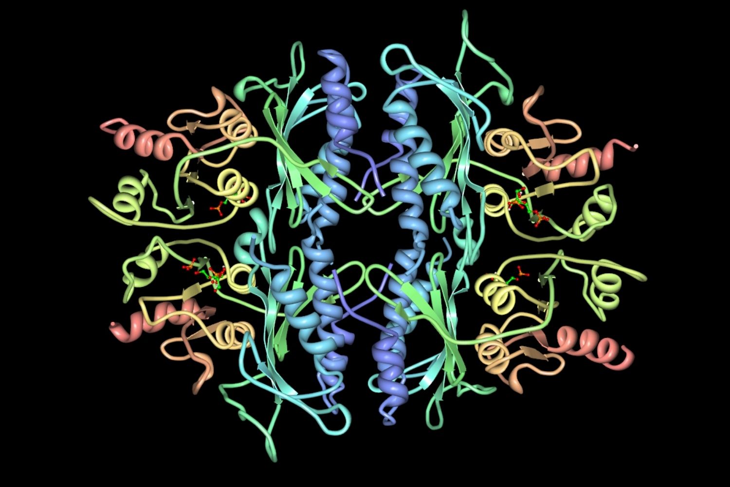 30-facts-about-fructose-16-bisphosphatase-deficiency