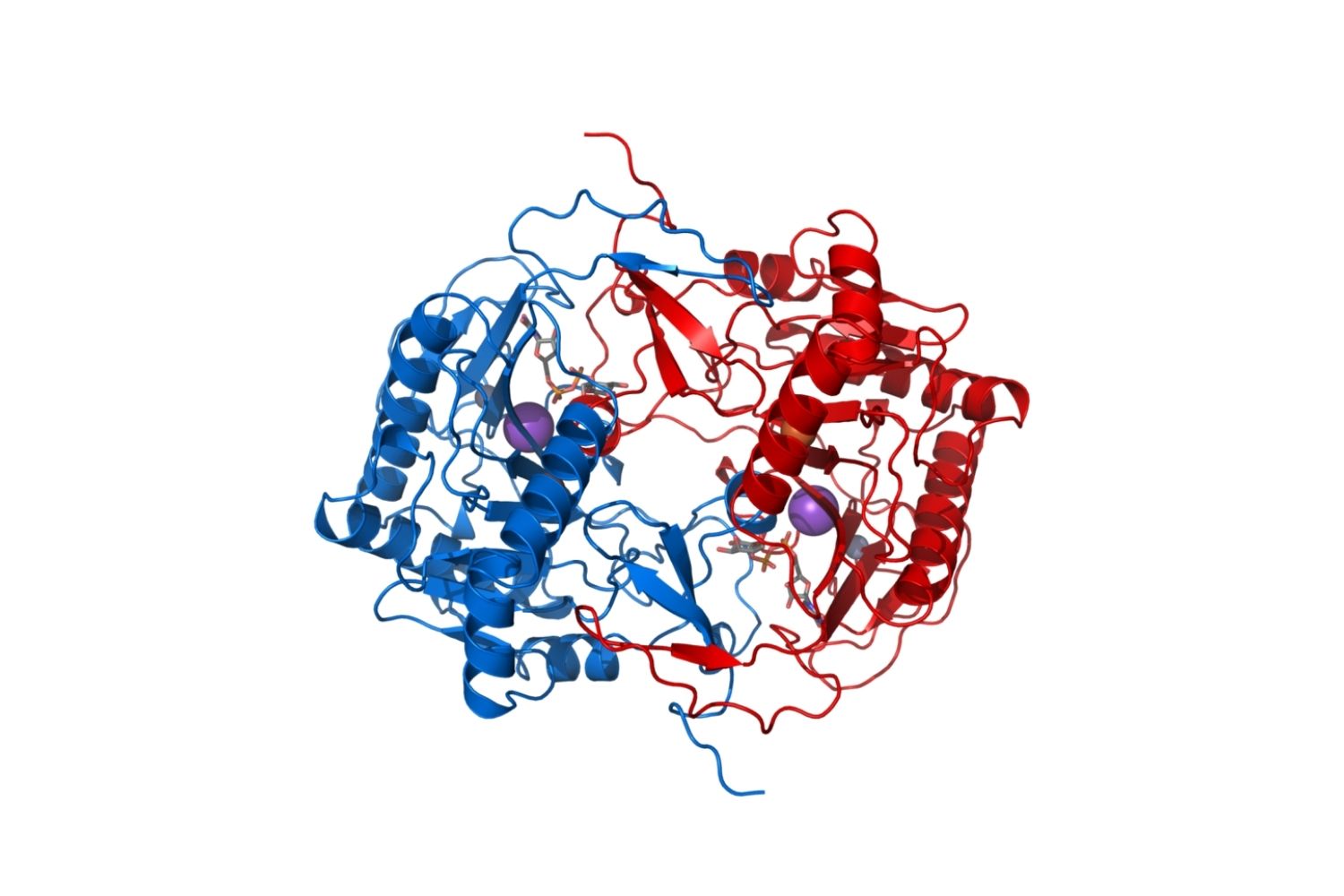 30-facts-about-galactose-1-phosphate-uridylyltransferase-deficiency