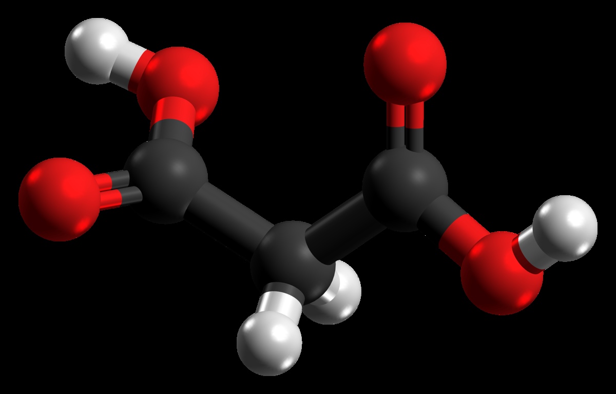 30-facts-about-malonic-aciduria