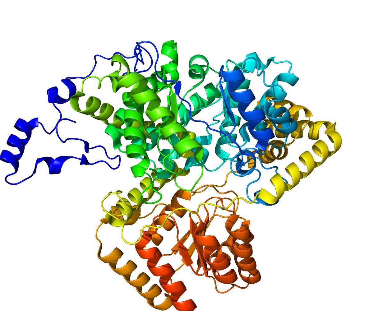 30-facts-about-methylmalonyl-coenzyme-a-mutase-deficiency