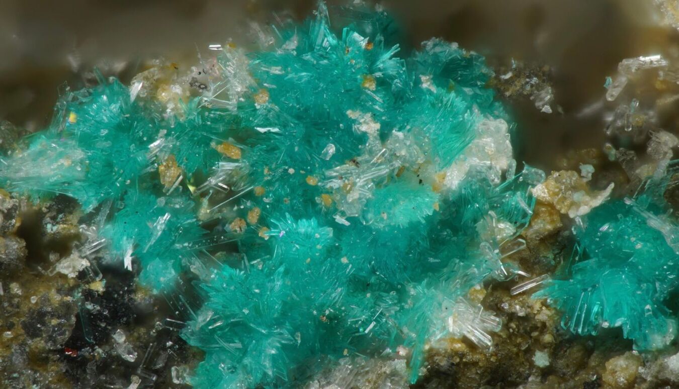 30-facts-about-niedermayrite