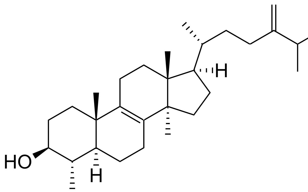 30-facts-about-obtusifoliol