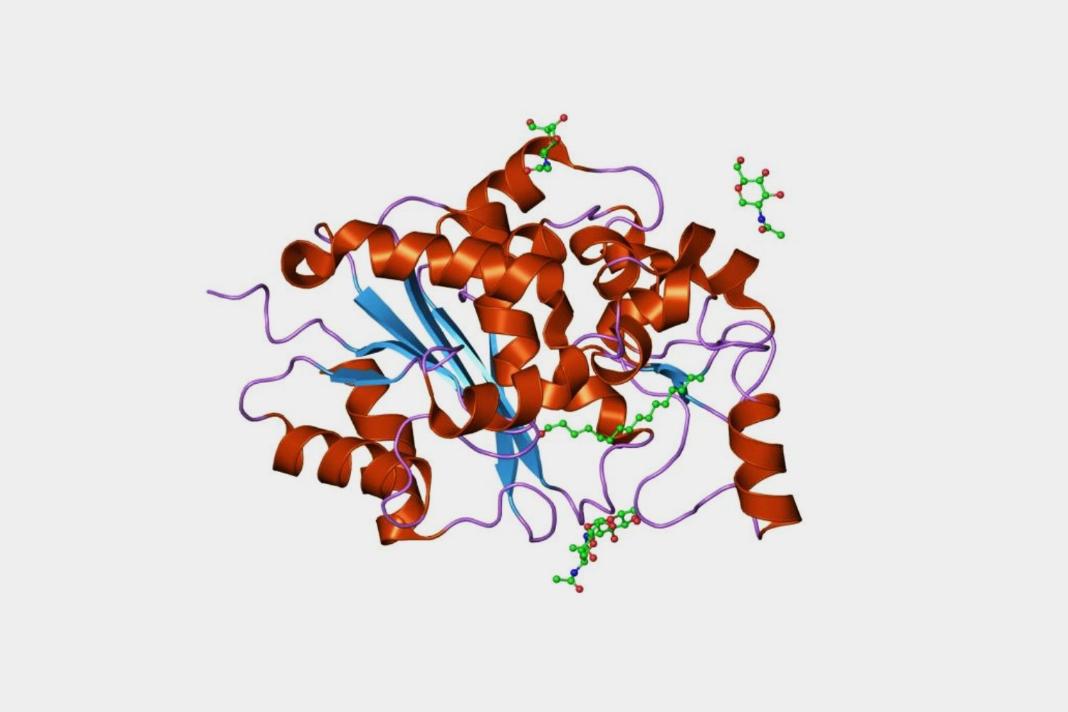 30-facts-about-palmitoyl-protein-thioesterase-deficiency