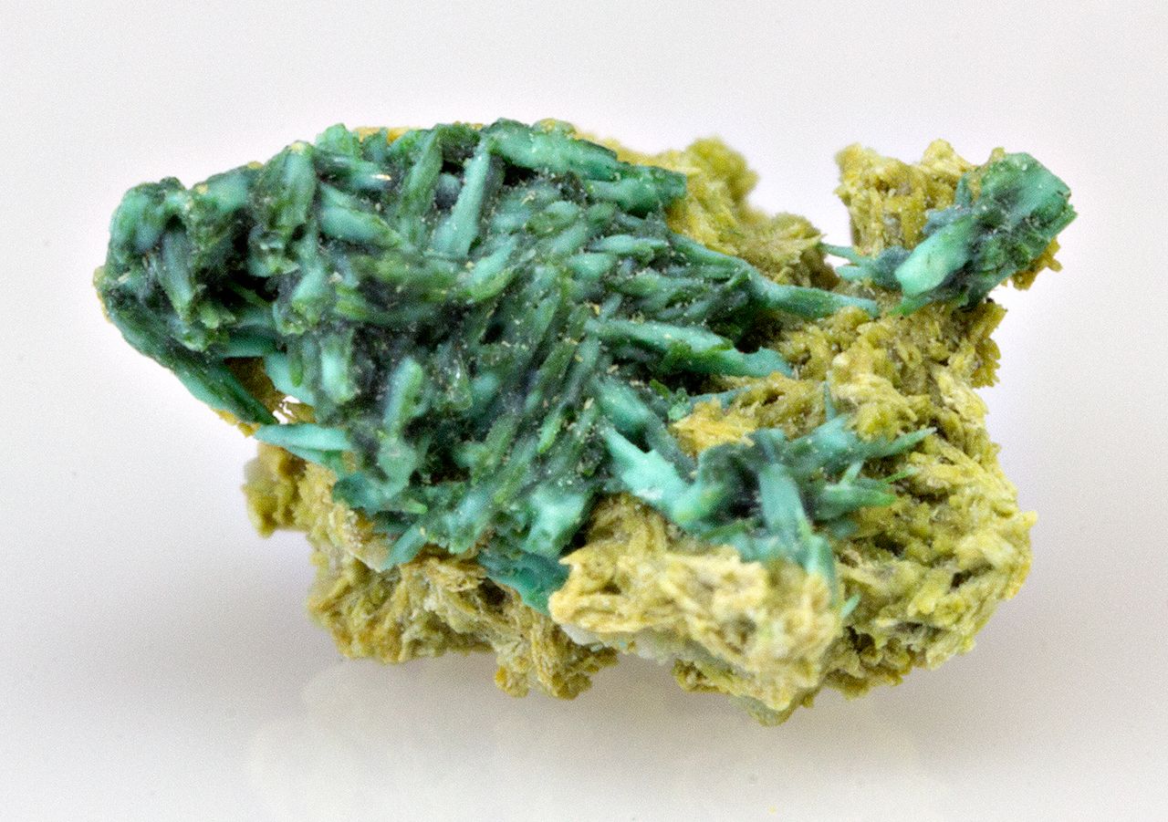 30-facts-about-piypite