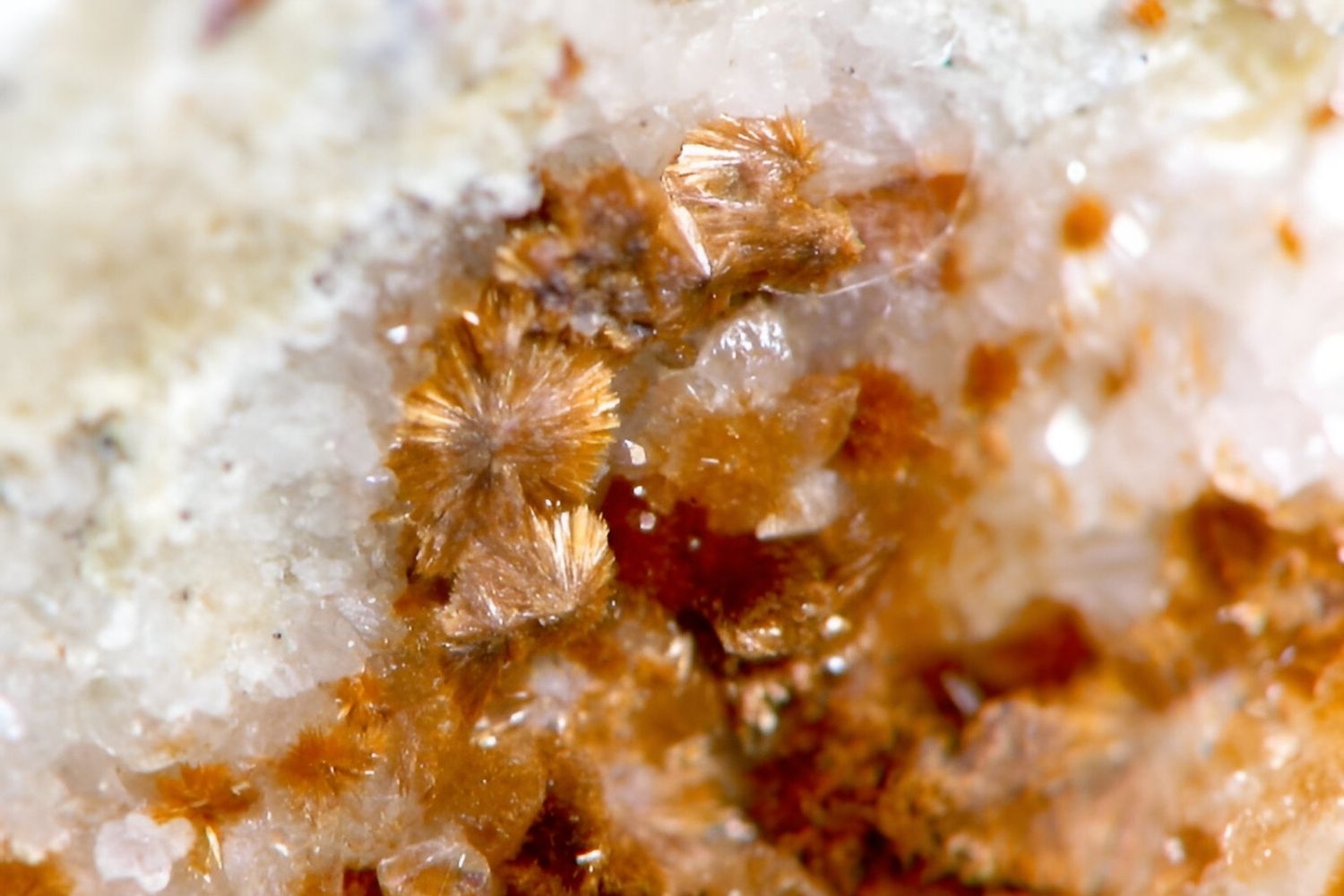 30-facts-about-ruizite