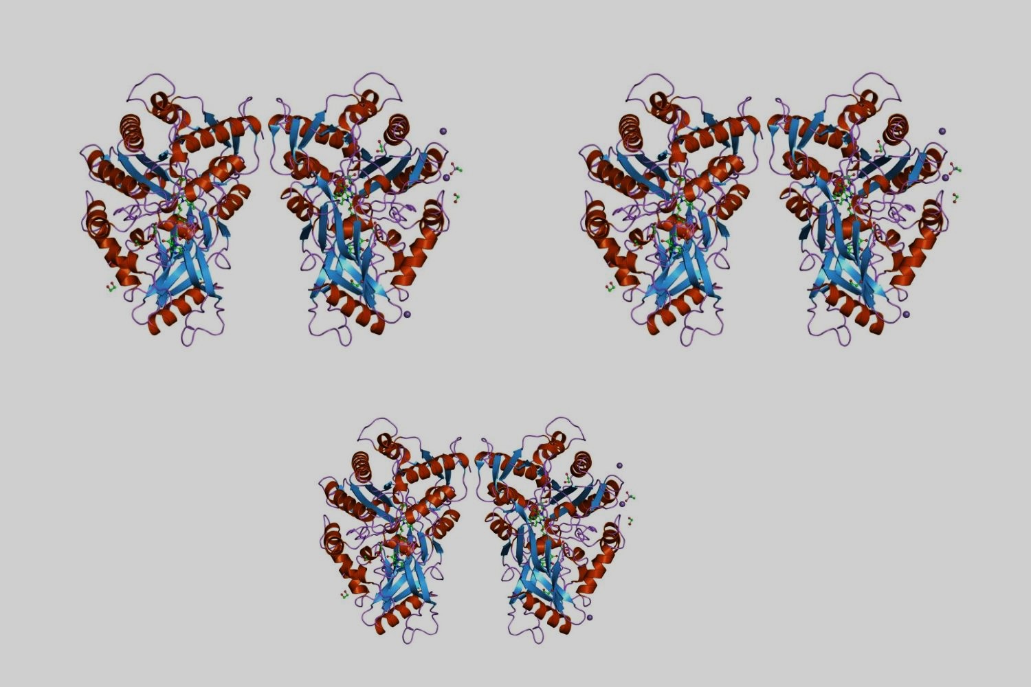 30-facts-about-trihydroxycholestanoylcoa-oxidase-isolated-deficiency