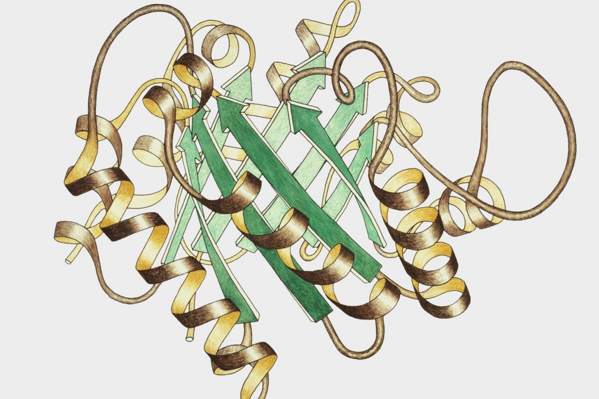 30-facts-about-triosephosphate-isomerase-deficiency