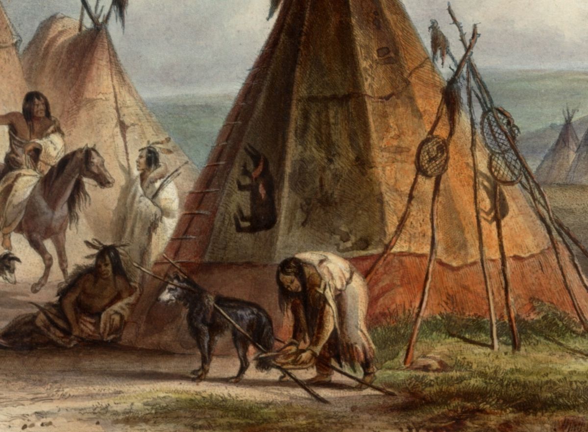 34-facts-about-first-americans-and-dogs