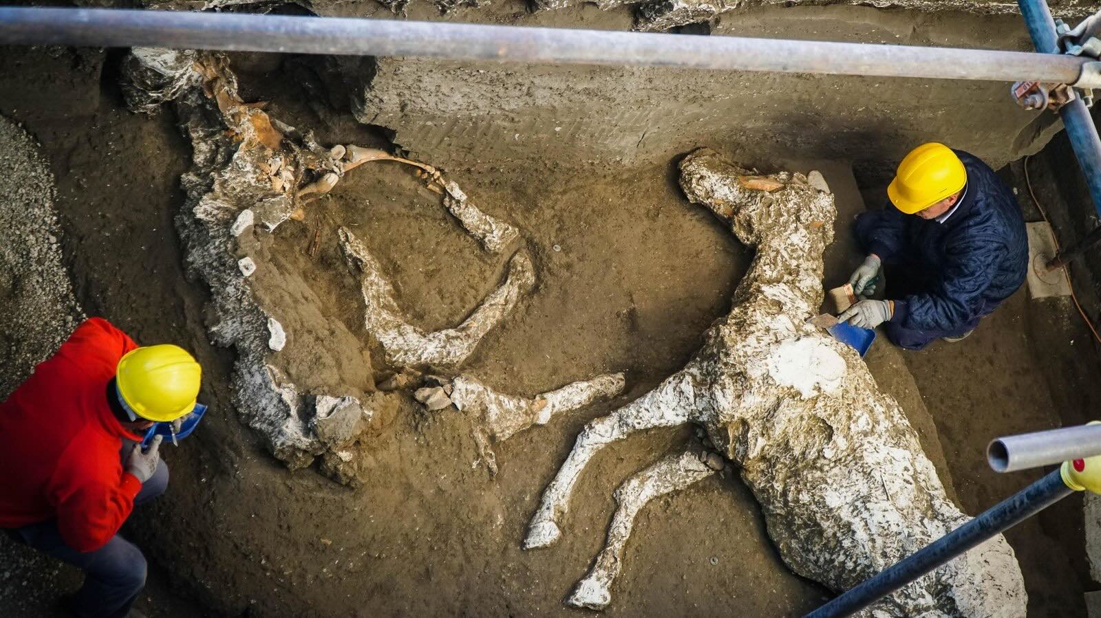 34-facts-about-pompeii-horse