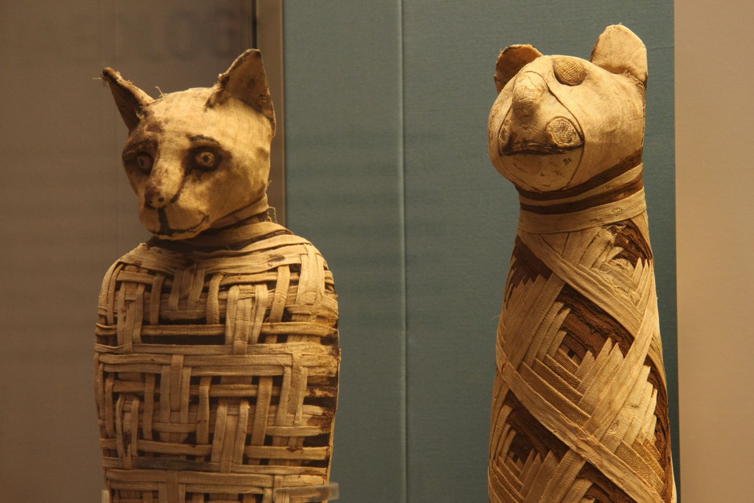 35 Facts About Ancient Egyptian Cat Mummy - Facts.net