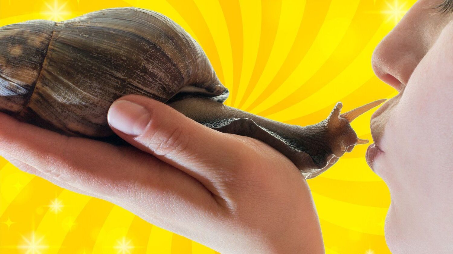 35-facts-about-ancient-humans-giant-snails