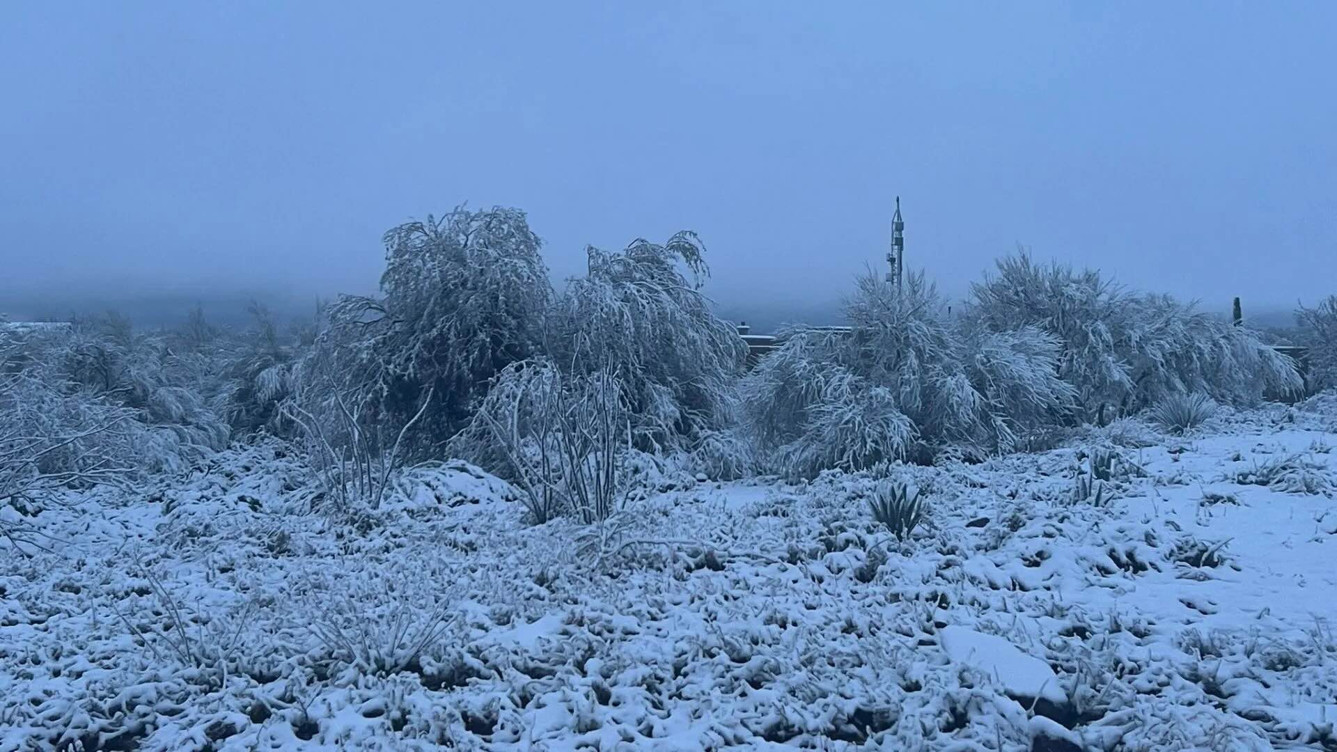 35-facts-about-arizona-desert-snowstorm