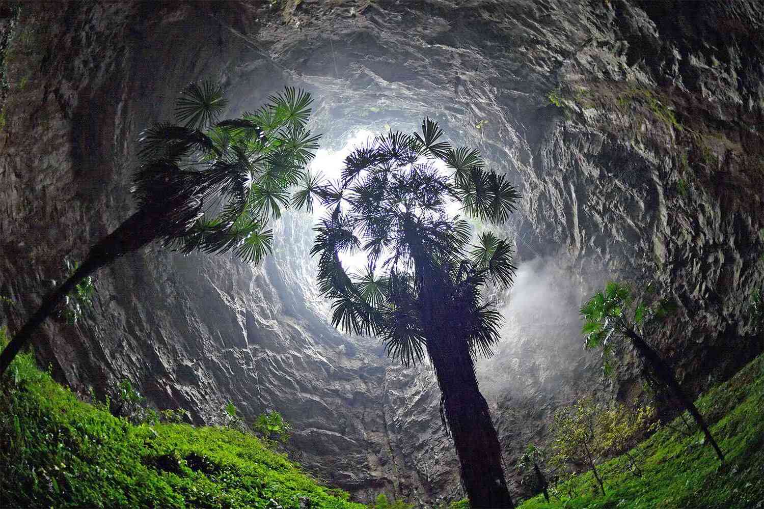 35-facts-about-china-sinkhole-forest