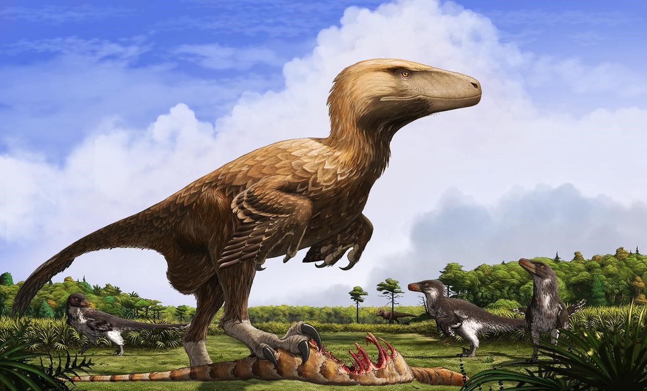 35-facts-about-dakotaraptor