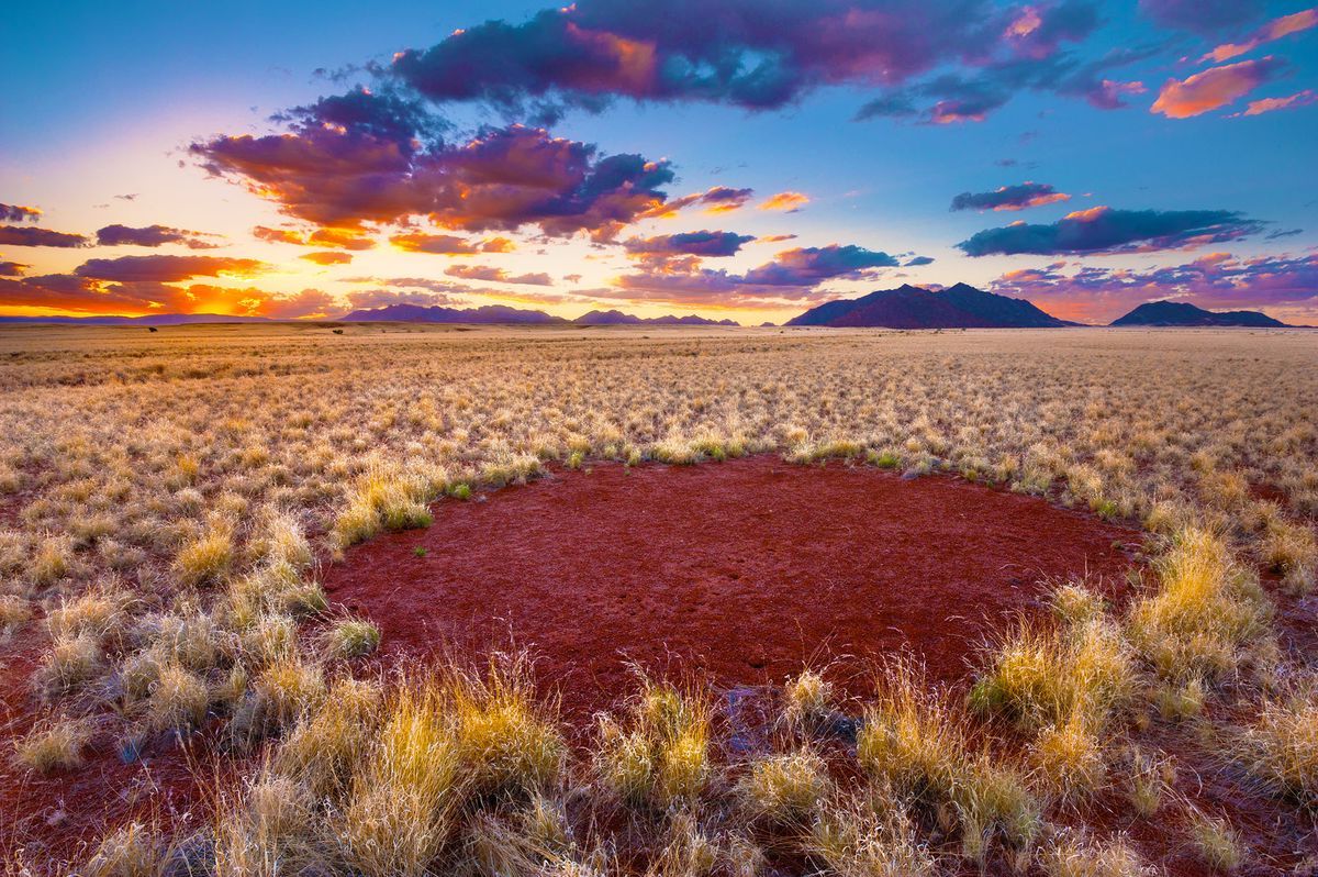 35-facts-about-fairy-circles