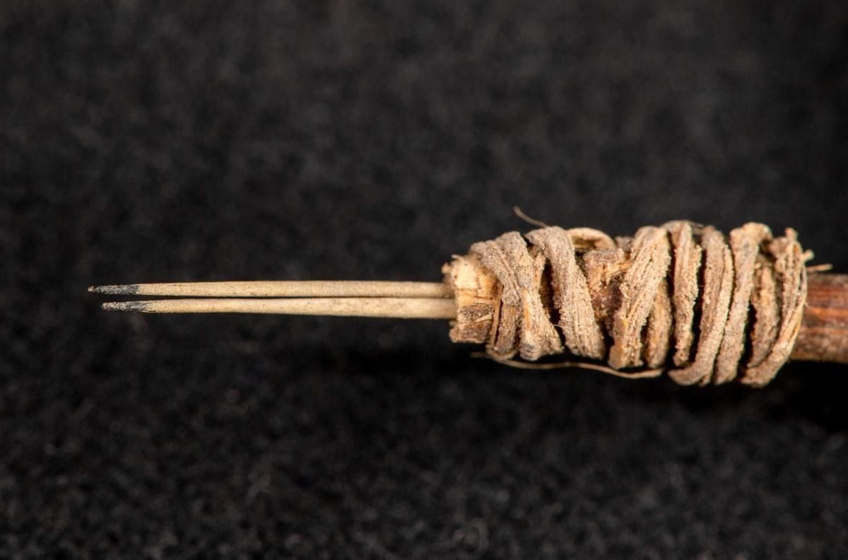 35-facts-about-oldest-tattoo-needles