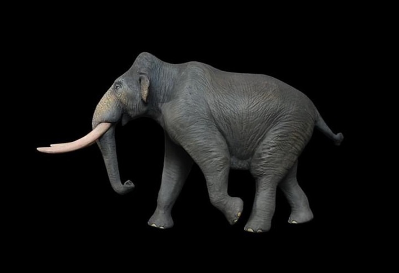 35-facts-about-pygmy-mammoth