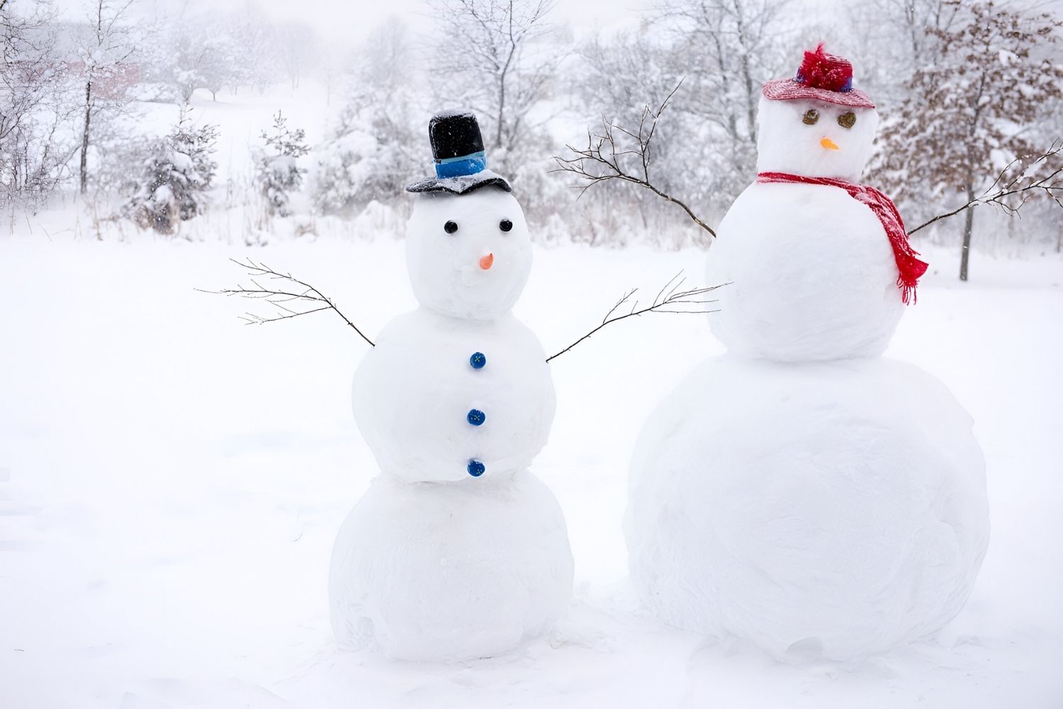 35-facts-about-snowmen