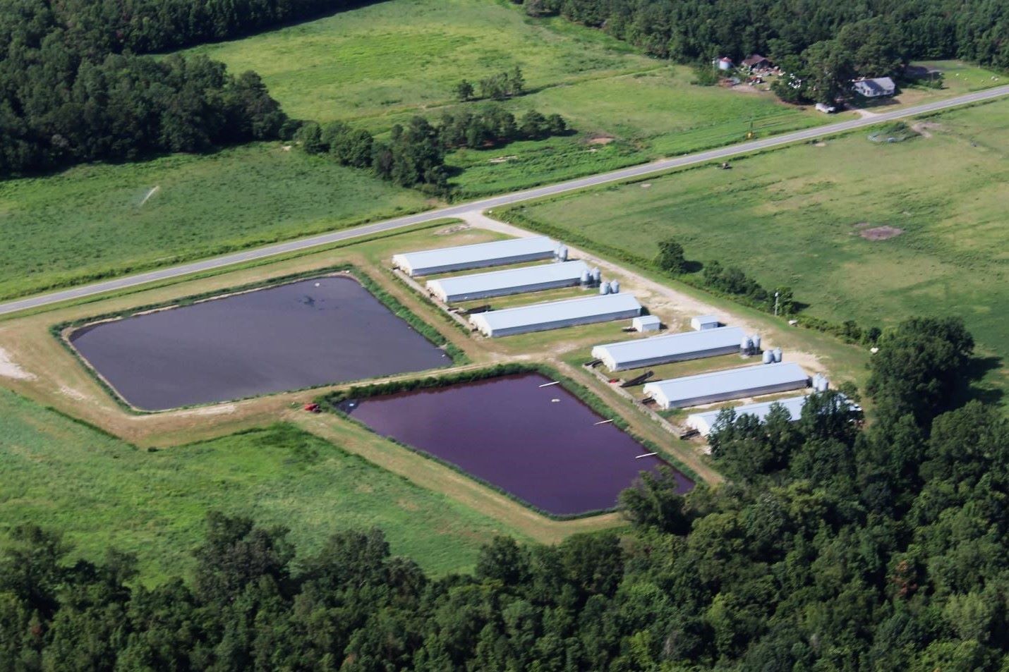 37 Facts About Hog Waste Lagoons Hurricane - Facts.net