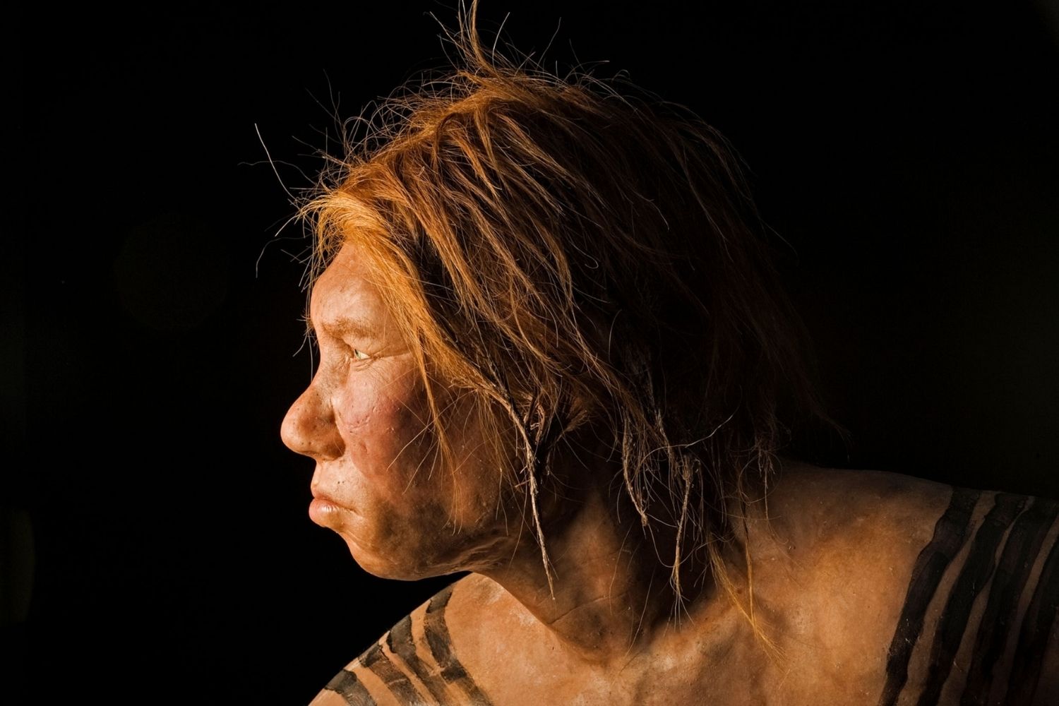 37-facts-about-neanderthal-denisovan-hybrid