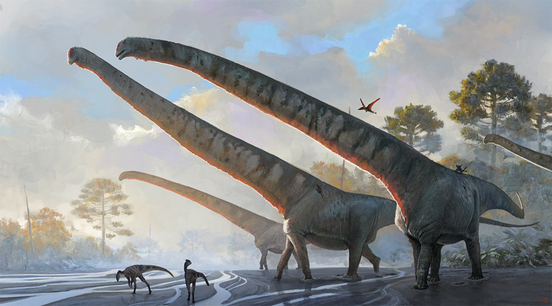 38-facts-about-mamenchisaurus-sinocanadorum