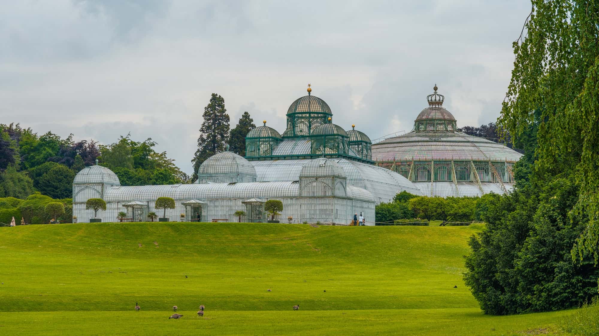 38-facts-about-royal-greenhouses-of-laeken