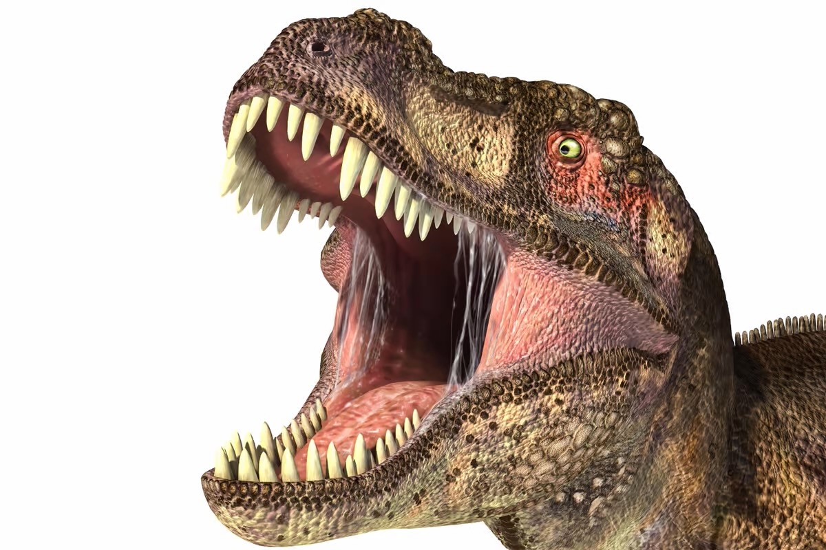 38-facts-about-t-rex-bite-power