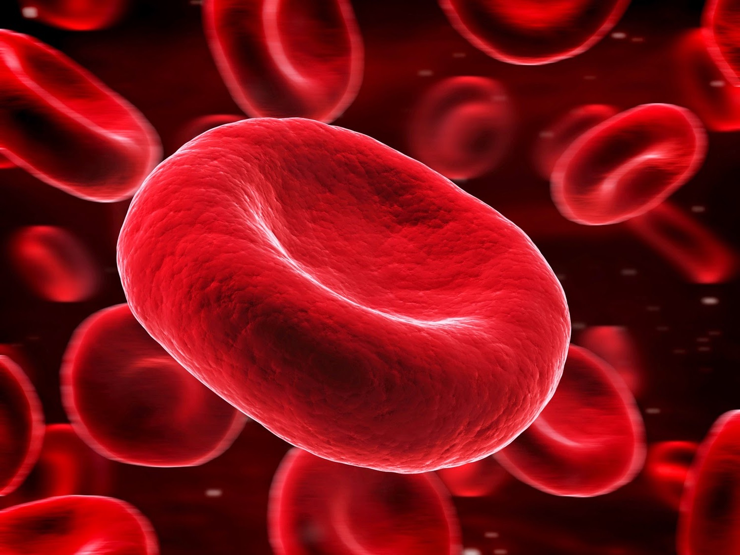 40-facts-about-blood-lipids