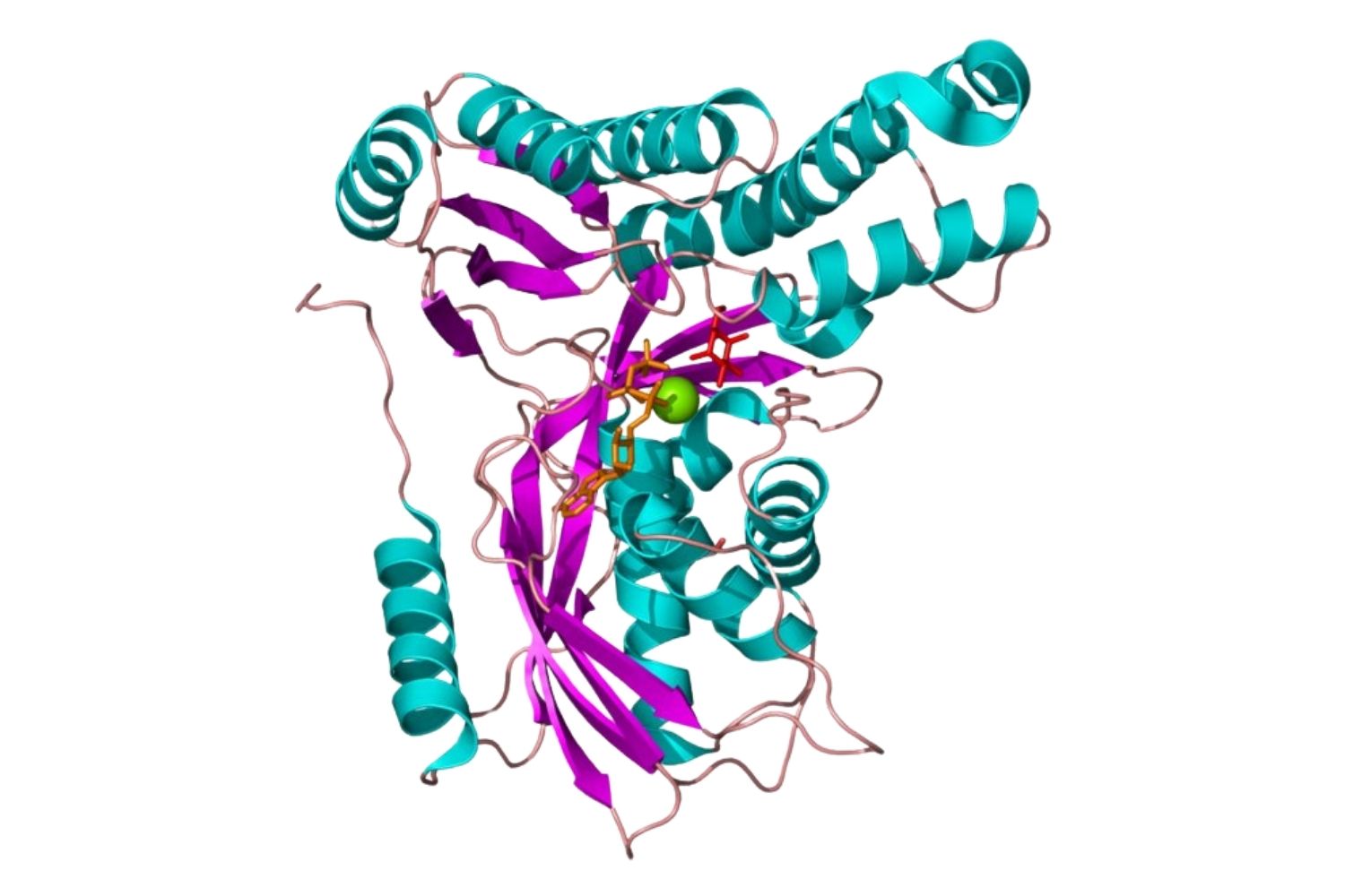 40-facts-about-galactokinase-deficiency