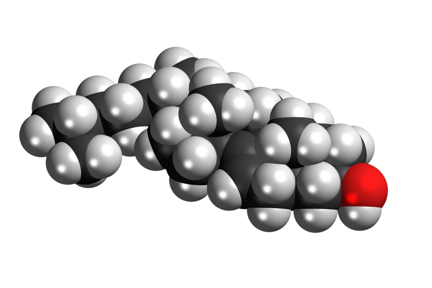 40-facts-about-lathosterol