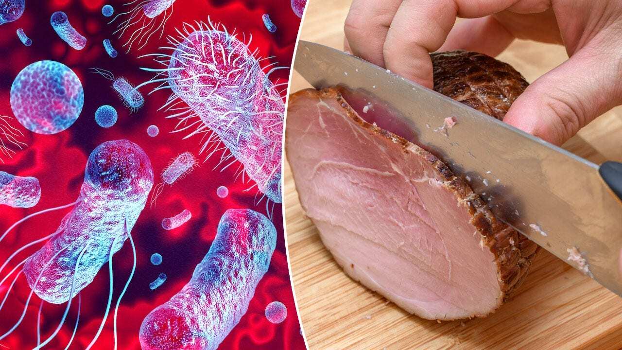 40-facts-about-listeria-infection