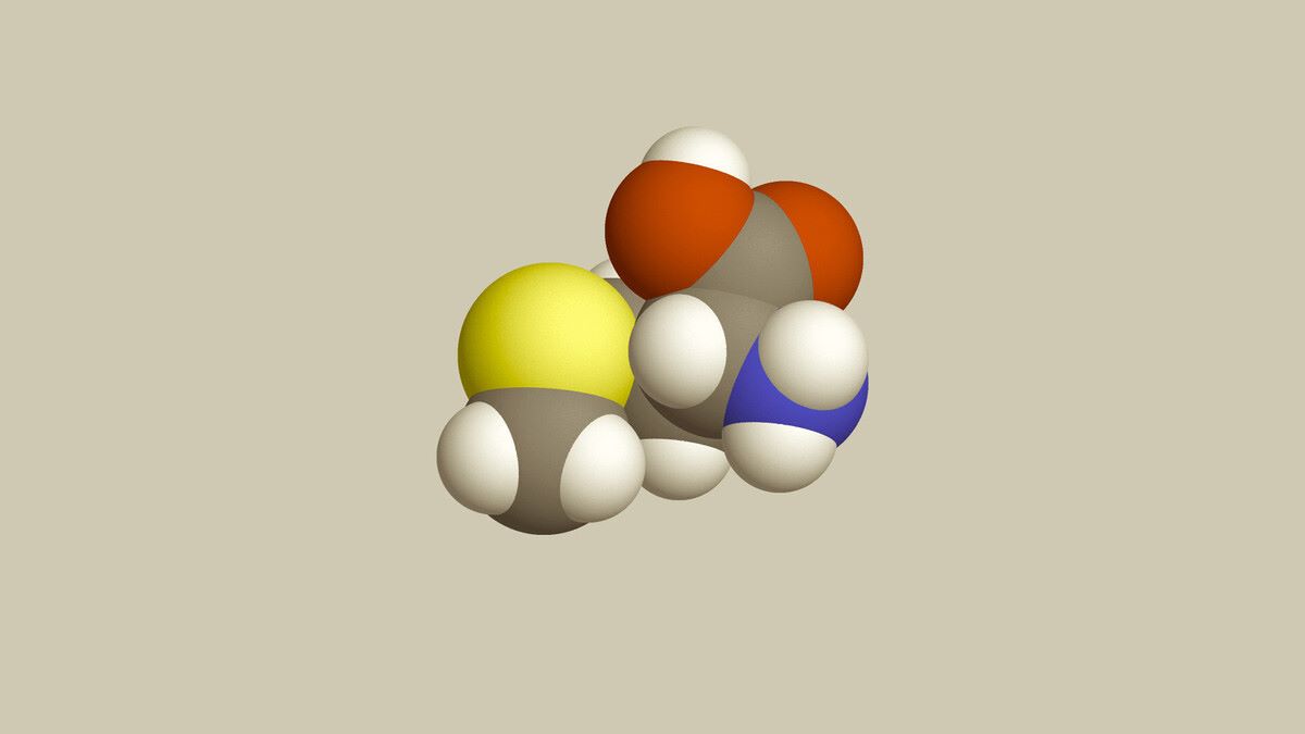 40-facts-about-methylmalonic-acidemia-with-homocystinuria