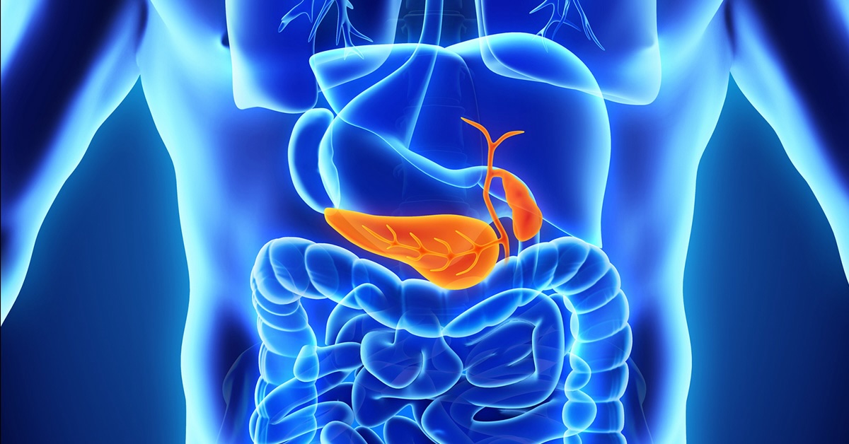 40-facts-about-pancreas-divisum