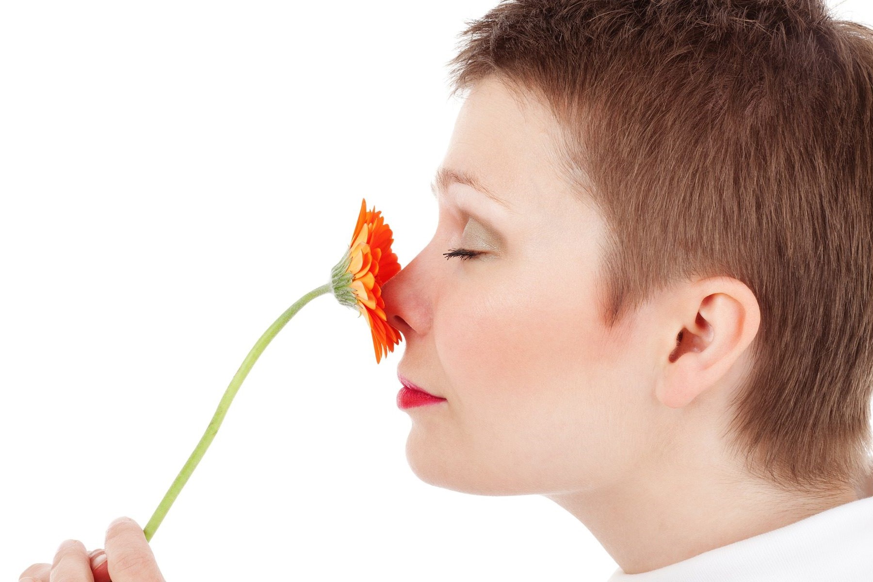 40-facts-about-sense-of-smell