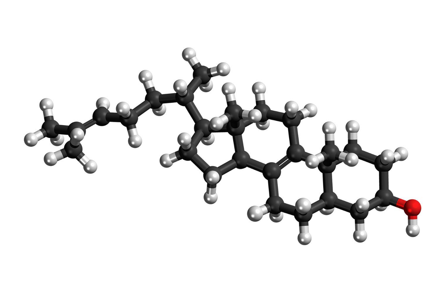 40-facts-about-zymosterol