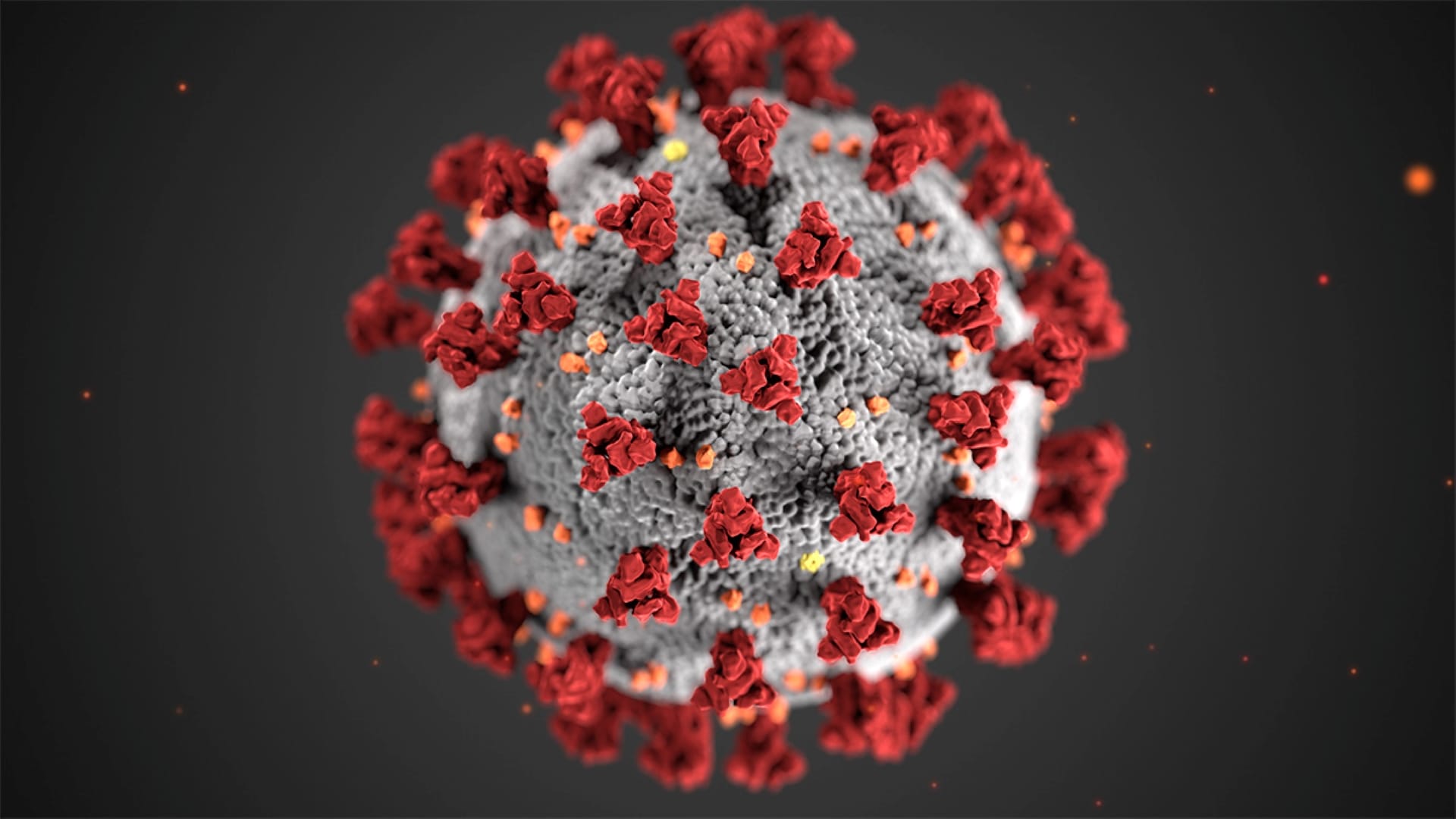 50-facts-about-coronavirus-disease-2019