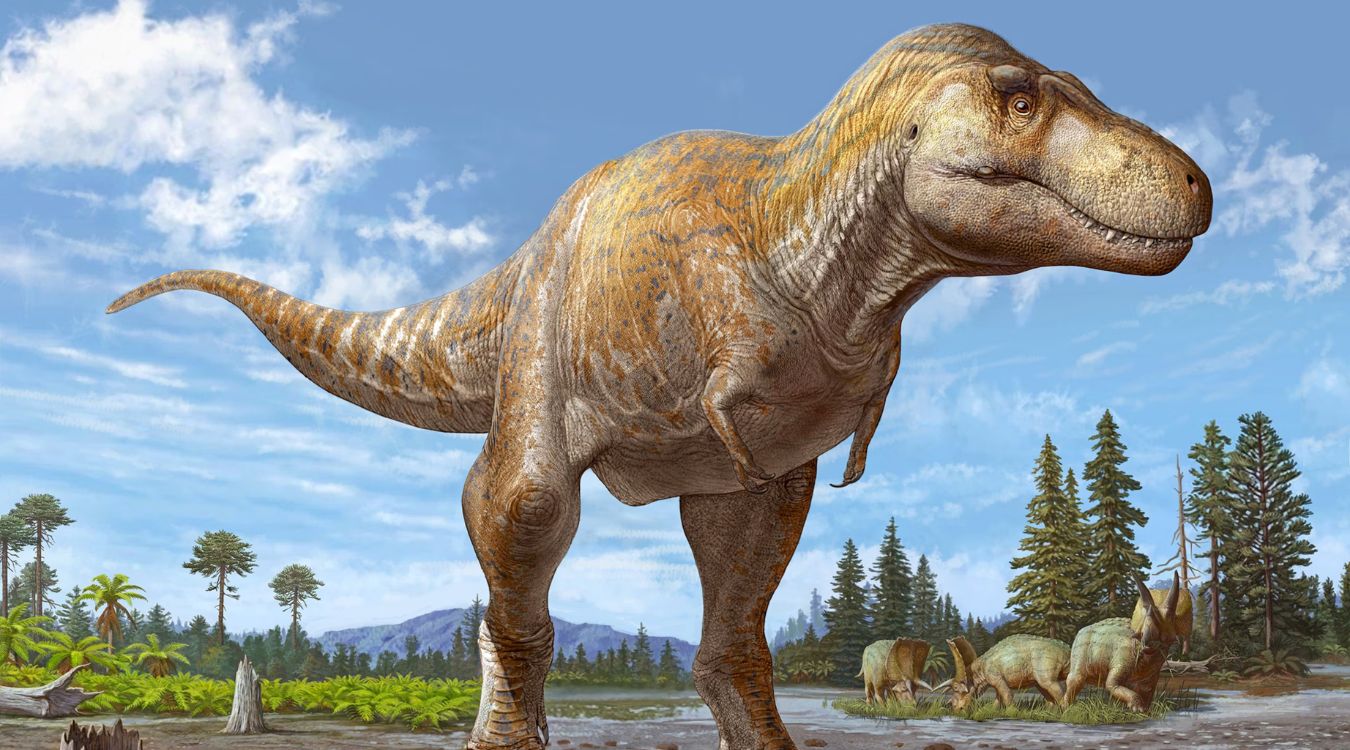 50-facts-about-dinosaurs