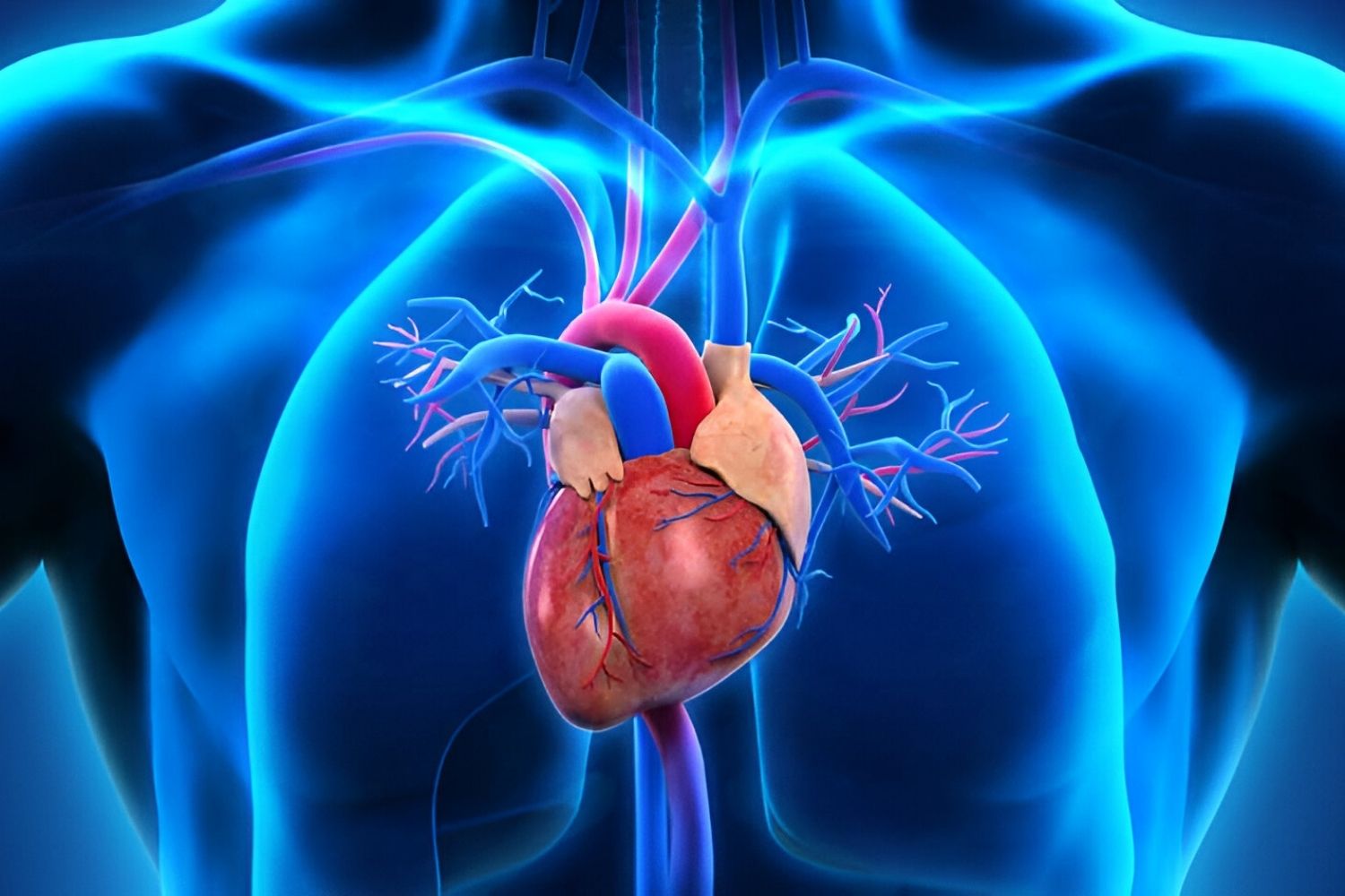 50-facts-about-hypertrophic-cardiomyopathy