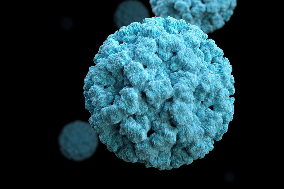 50-facts-about-norovirus