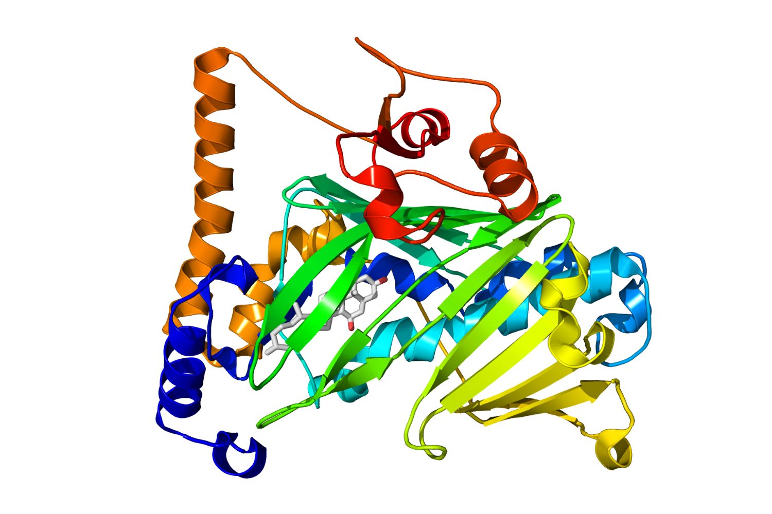 50-facts-about-oxysterol