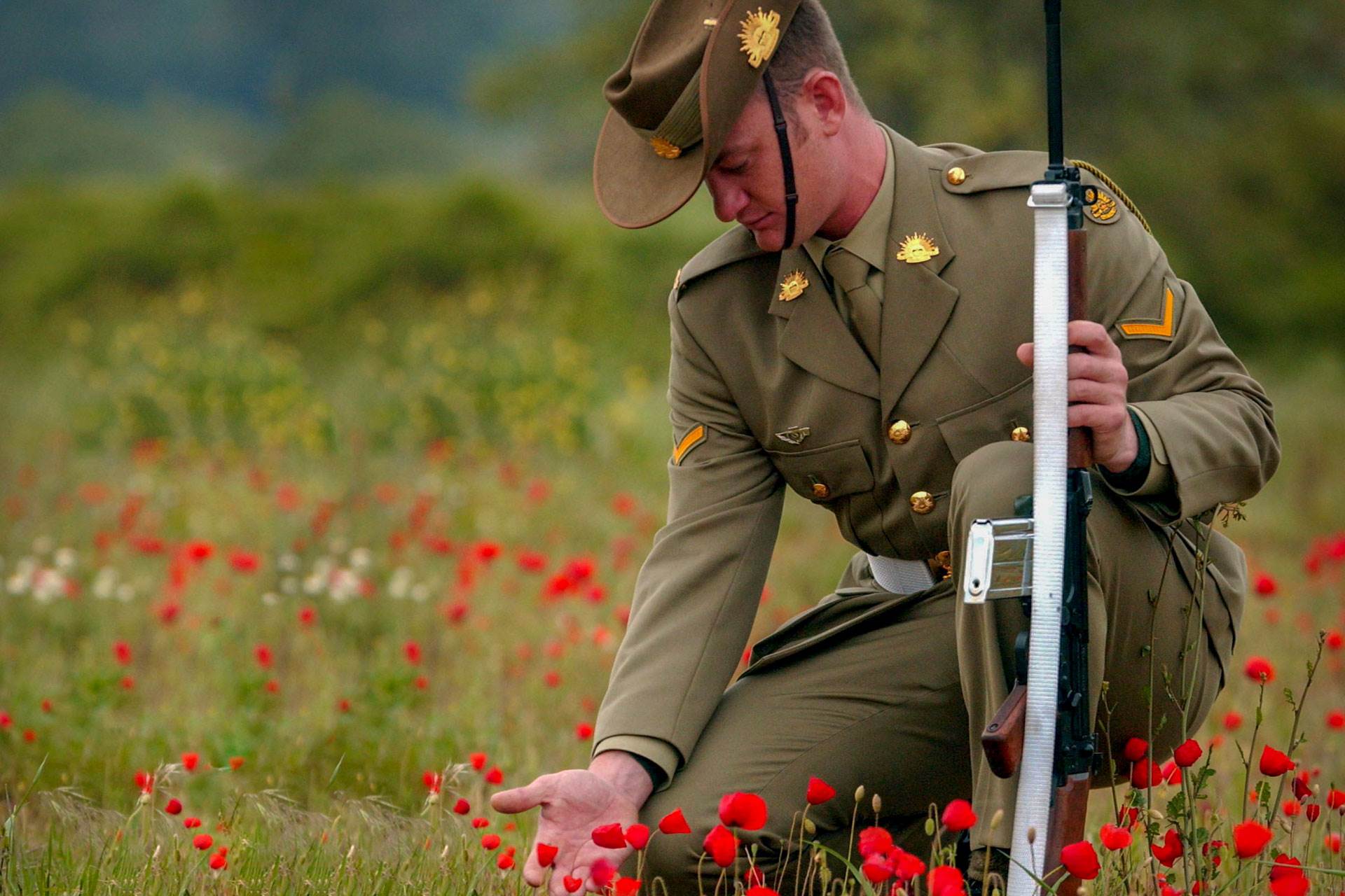 50-facts-about-remembrance-day