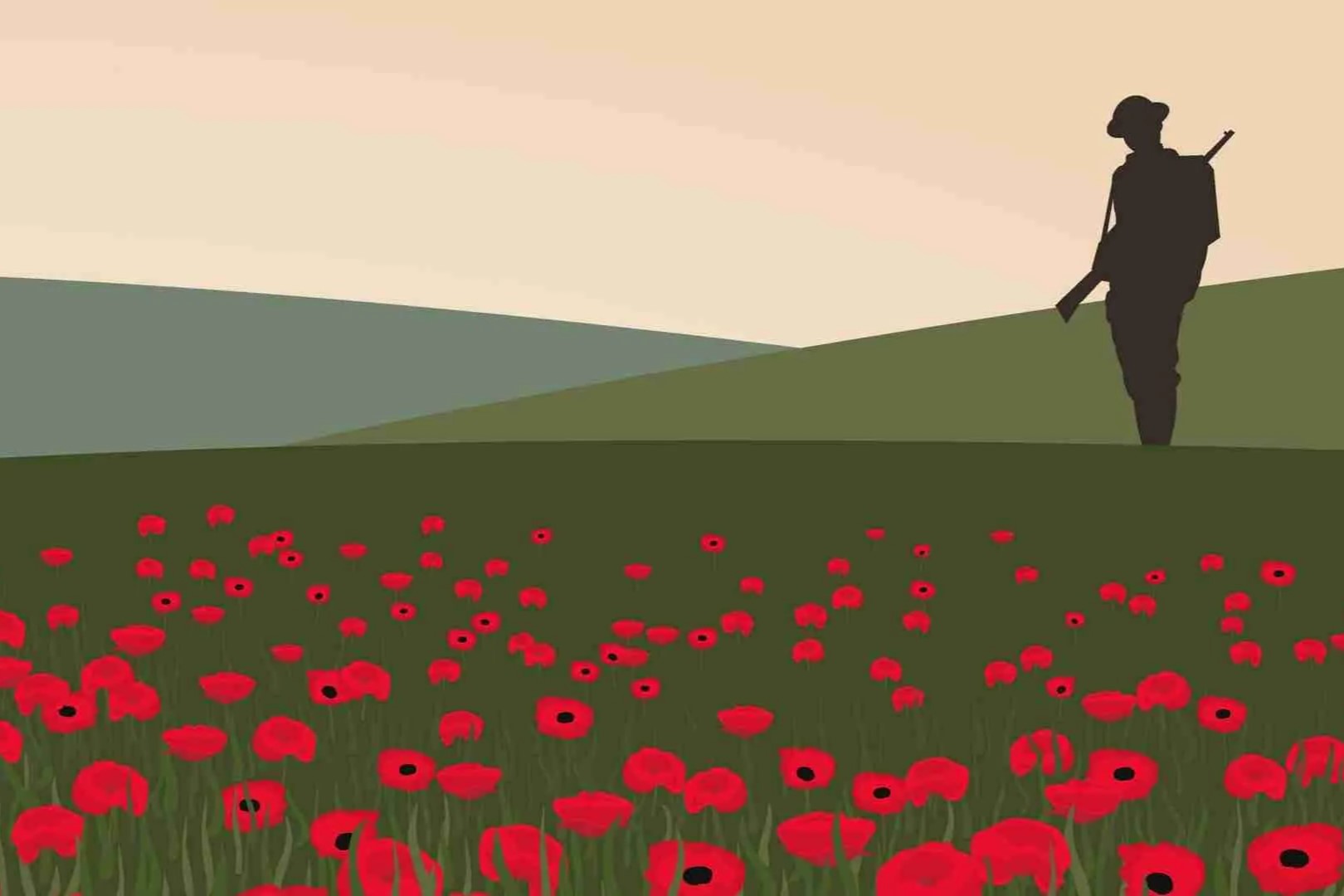 50-facts-about-remembrance-poppy