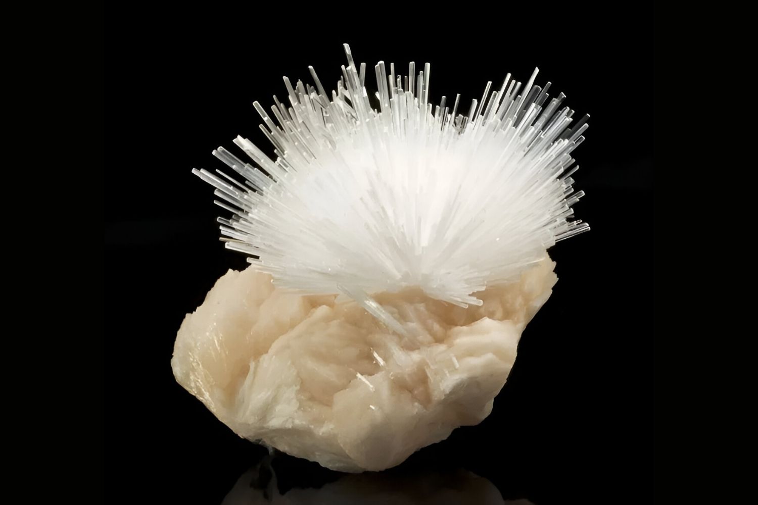 50-facts-about-scolecite