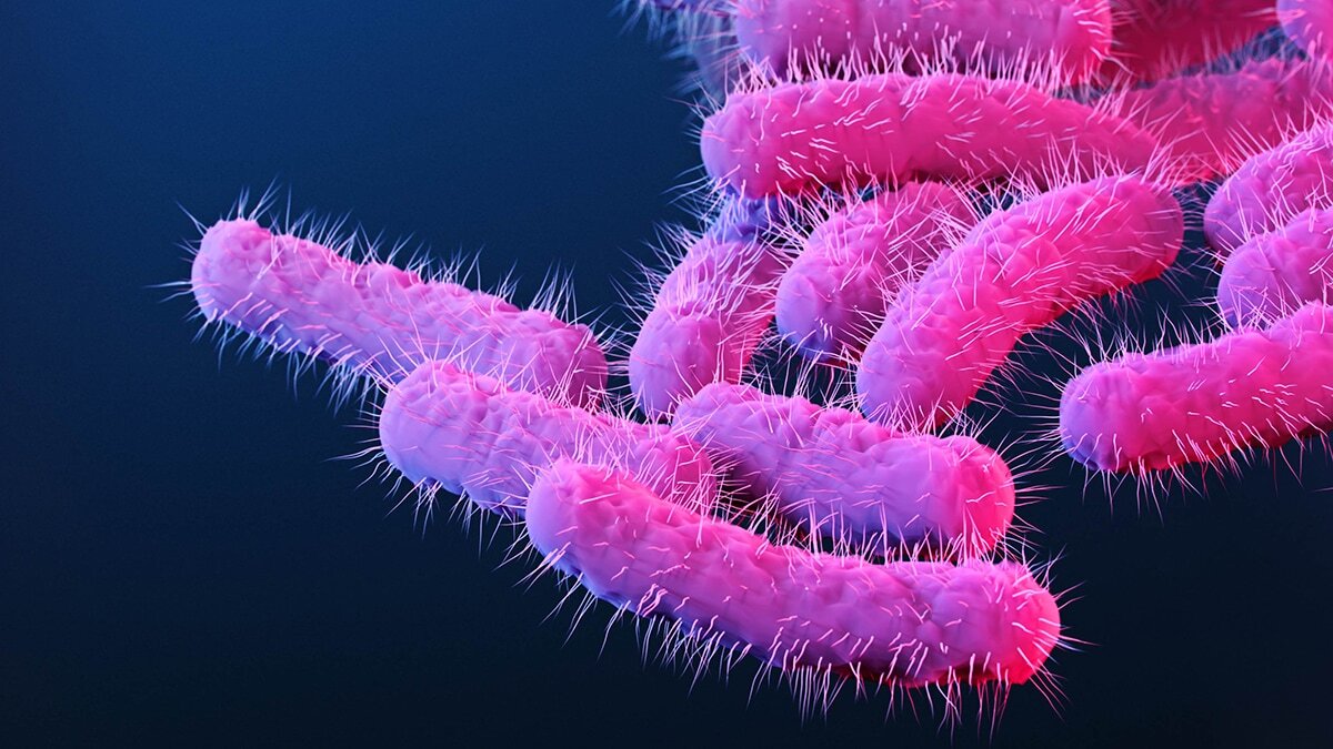 50-facts-about-shigellosis